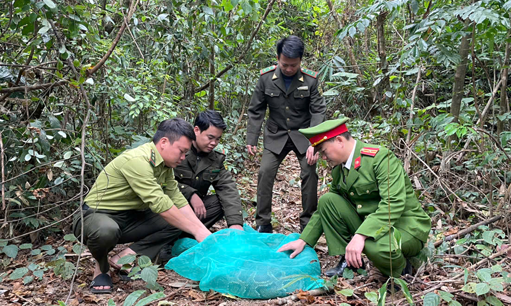  Công an TP Bắc Giang: Vận động, thả trăn đất về tự nhiên